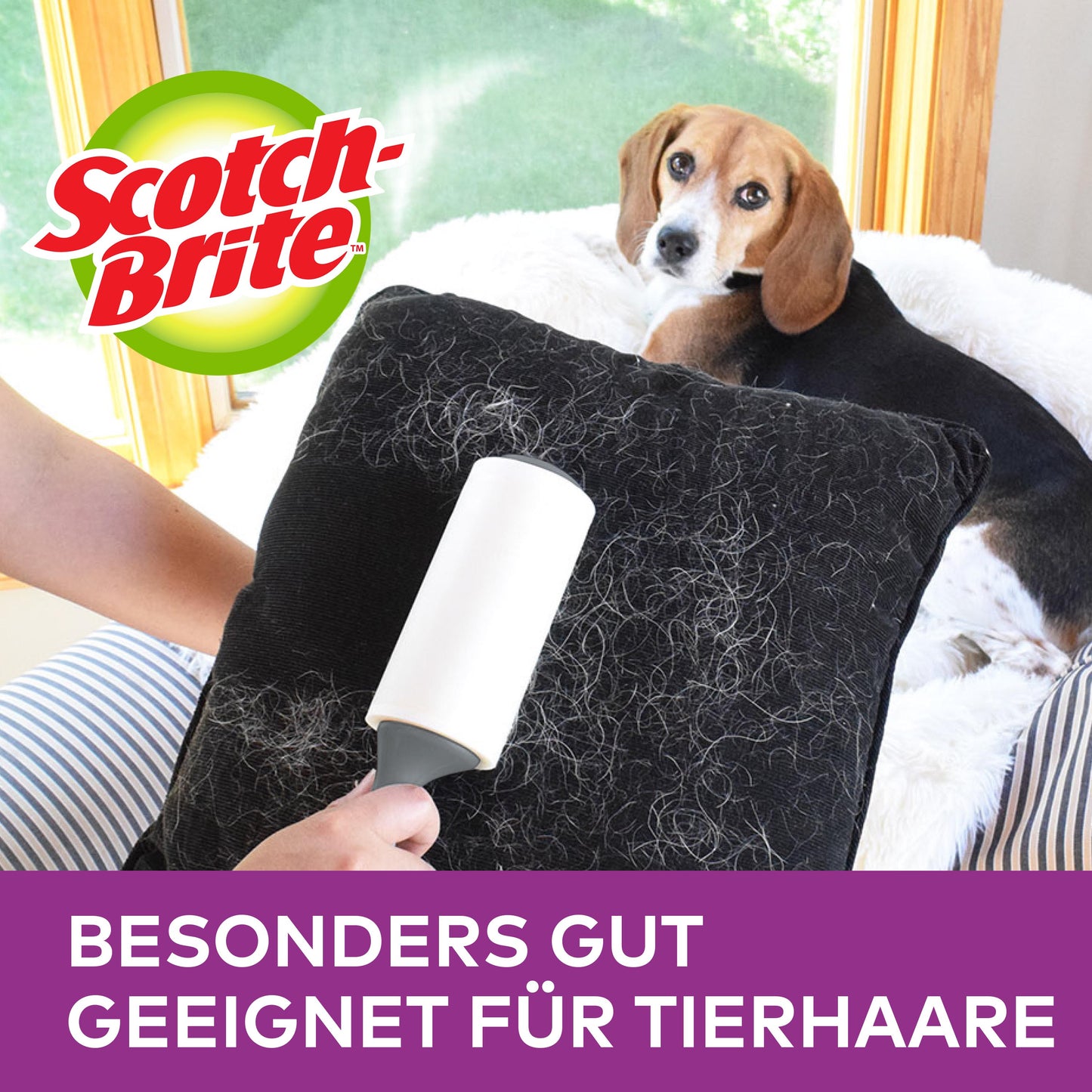 Eine Person verwendet den Scotch-Brite™ Pet Extra Sticky* Roller für Tierhaare (48 Blatt, 1 Stück) von 3M Deutschland GmbH, um Tierhaare von einem schwarzen Kissen zu entfernen. Ein Hund liegt auf der Couch; Logo und "BESONDERS GUT GEEIGNET FÜR TIERHAARE" erscheinen darüber.