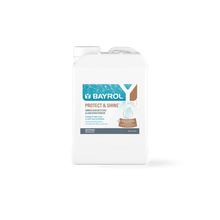 BAYROL Protect & Shine 2 L Schützt die Wasserlinie vor Schmutzablagerungen | Kanister (2 l)