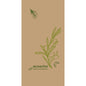 Cellulose napkins 40 x 40 cm, 3-ply, 1/8 top fold Veggies by Duni GmbH: Beige with green olive branches, text "eco echo 100% compostable." Pack of 250 pieces.