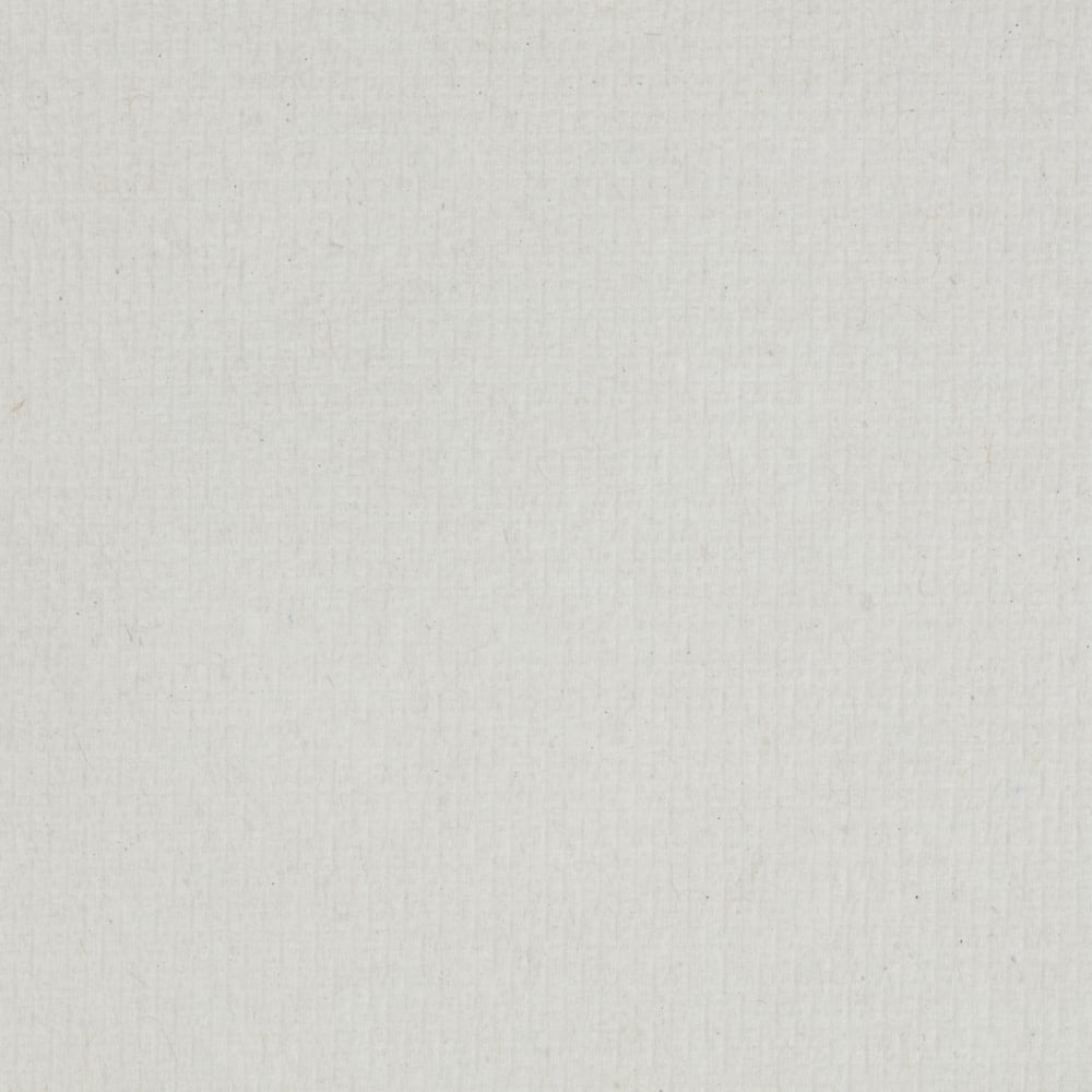 A close-up of an empty white, textured paper surface with faint lines and small specks - perfect for Scott® ESSENTIAL™ towel roll / White (6 rolls x 1 sheet, carton) from Kimberly-Clark GmbH. The image is evenly lit and free from markings or objects.