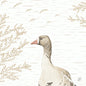 A realistic illustration of a goose looking to the left, with beige branches and birds in a pale sky, in muted tones - ideal for Duni GmbH Bio-Dunisoft napkins 40x40 cm made of wood and goose | Pack (60 napkins).