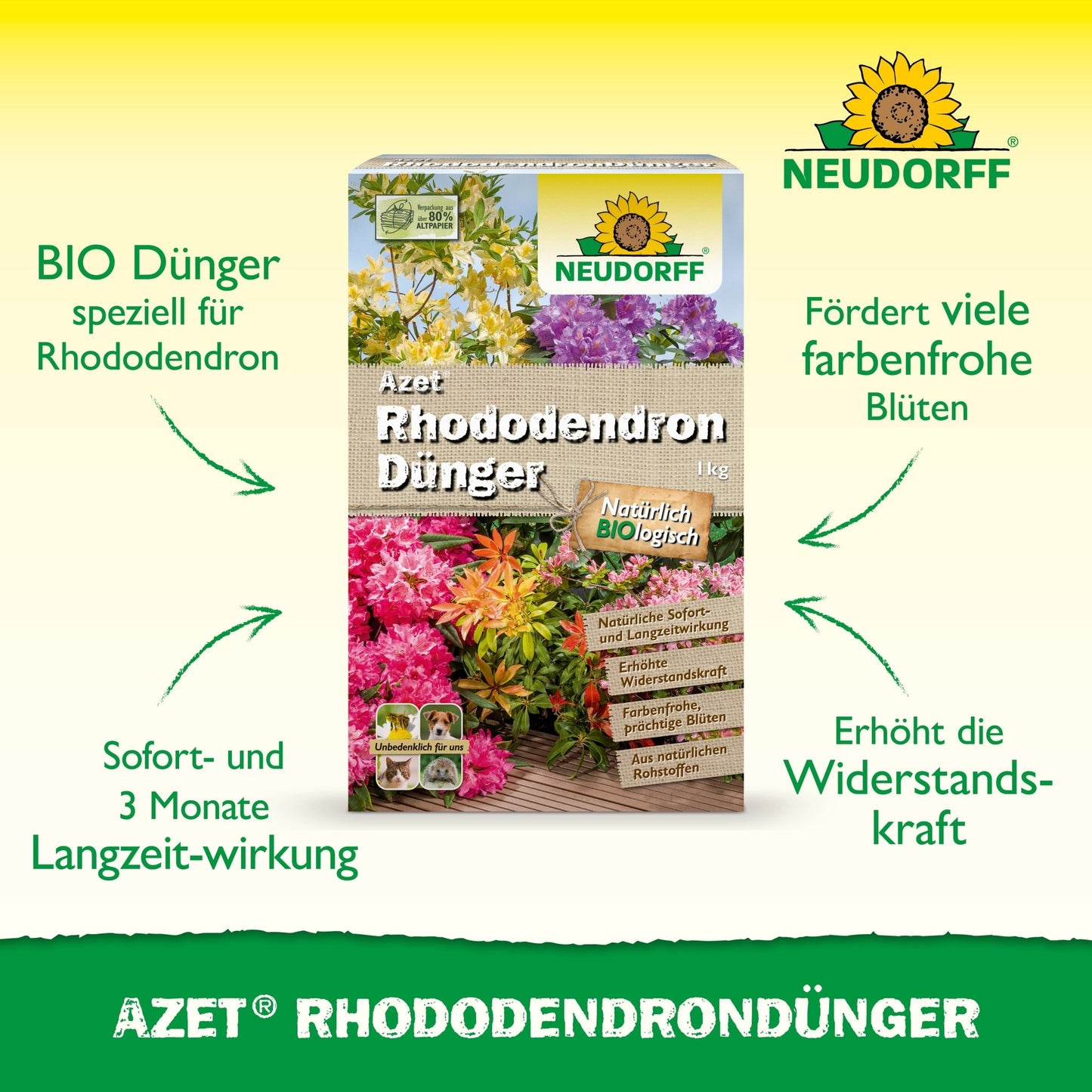 Abgebildet ist eine Schachtel Azet RhododendronDünger von Neudorff Shop mit leuchtenden Rhododendren und Azaleen auf der Verpackung und der organischen Volldünger-Formel für eine gesunde Blüte mit Sofort- und Langzeitwirkung.
