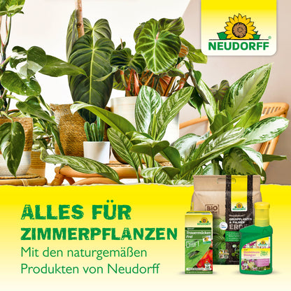 Mehrere getopfte Zimmerpflanzen stehen auf einem Tisch neben den Produkten des Neudorff Shops, darunter Pflanzennahrung, Erde und Gelb-Aufkleber. Der helle Hintergrund zeigt den Schriftzug Neudorff Shop und einen deutschen Text, der für die Pflanzenpflege wirbt.