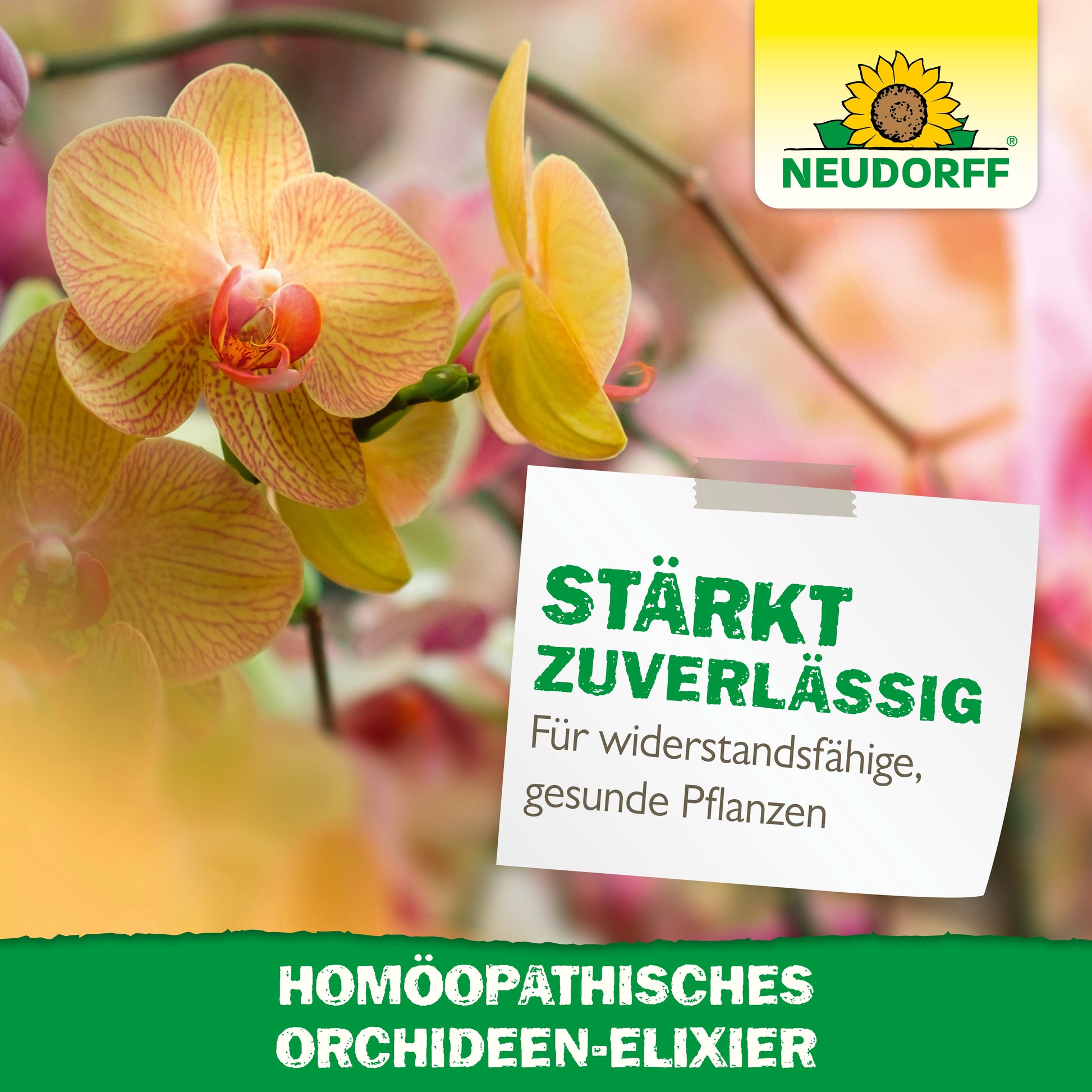 Eine Nahaufnahme von gelben und rosa Orchideen mit einem Schild: "Stärkt zuverlässig. Für widerstandsfähige, gesunde Pflanzen." Neudorff Shop-Logo. Unten Text: "Homöopathisches Orchideen-Elixier - das Pflanzenhilfsmittel für Orchideenpflege.