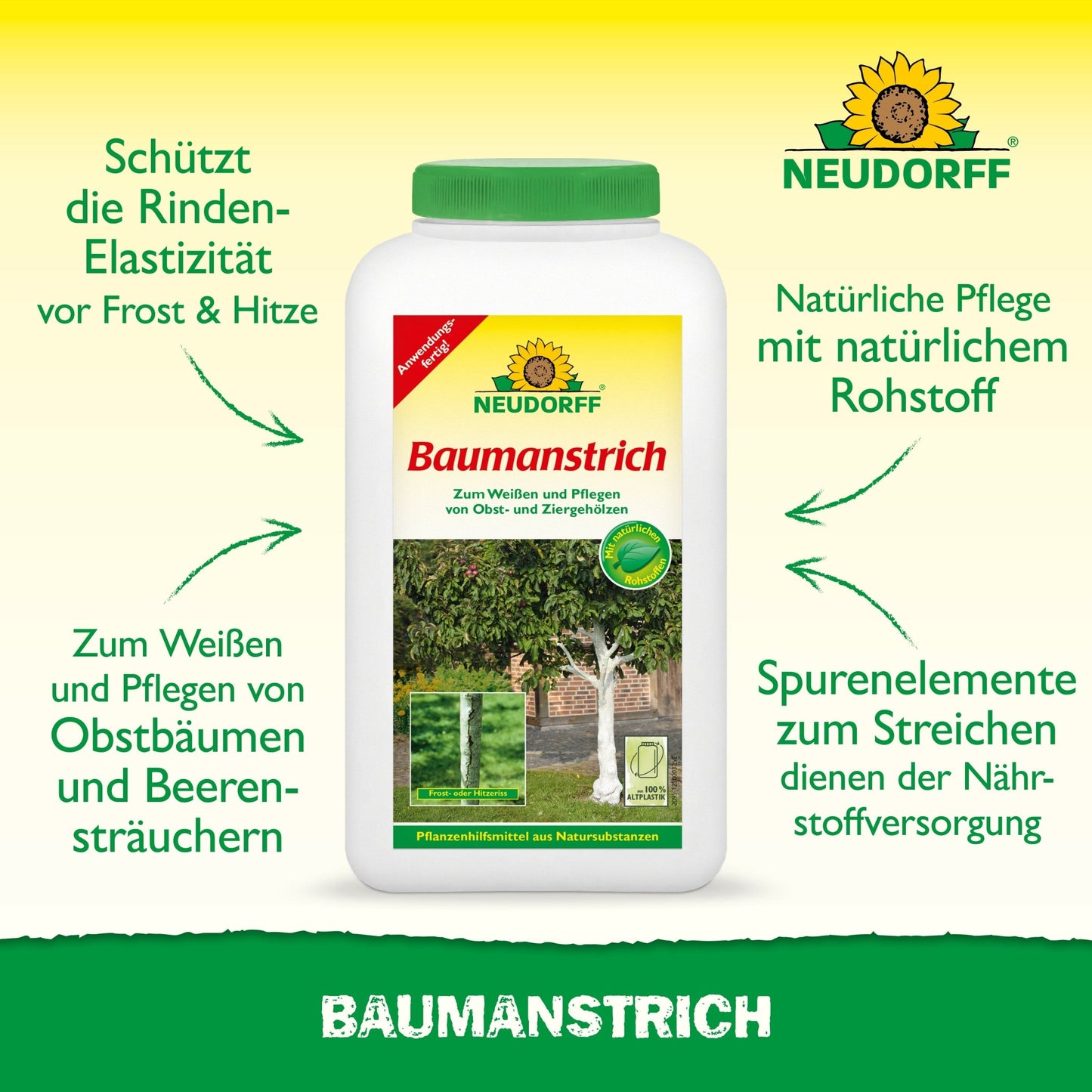 Baumanstrich
