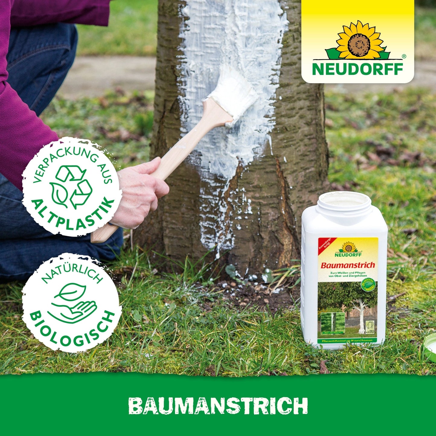 Baumanstrich