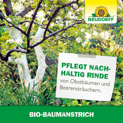 Ein Obstbaum mit weiß beschichteter Rinde steht in einem Garten. Auf einem Schild steht: "Pflegt nachhaltig Rinde von Obstbäumen und Beerensträuchern". Der Produktname und das Logo des Bio-Baumanstrichs von Neudorff Shop sind sichtbar.