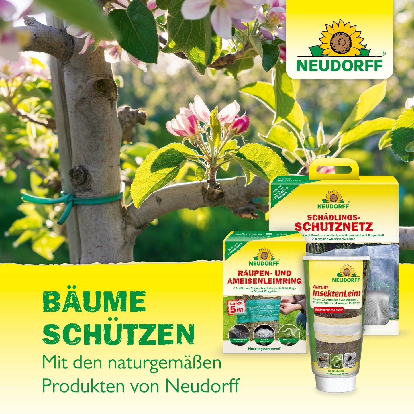Baumanstrich
