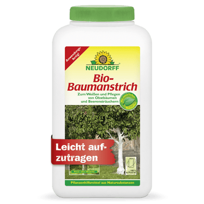 Ein weißer Behälter von Neudorff Shop mit der Aufschrift "Bio-Baumanstrich" zeigt einen Baum mit weißem Stamm. Auf dem Etikett steht "Leicht aufzutragen" und der Hinweis, dass dieses Produkt Baumrinde pflegt und schützt, ideal für Obst- und Beerenbäume.