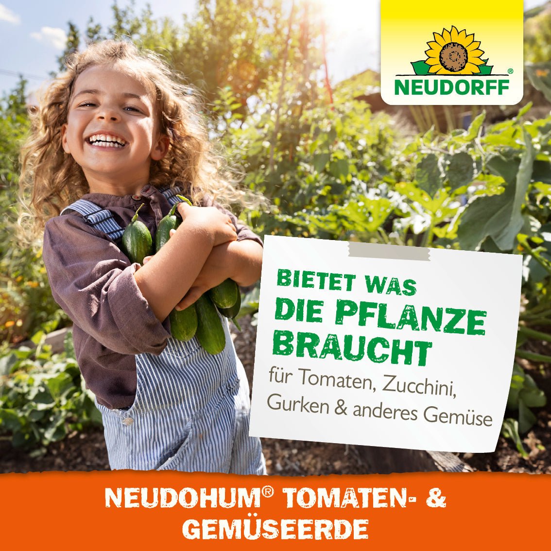A smiling child in a garden holds zucchinis - fresh summer vegetables. Green plants thrive in the background. A sign reads: "NeudoHum Tomato & Vegetable Soil - provides everything for tomatoes, zucchinis, cucumbers & other vegetables." Neudorff Shop logo at the top right.