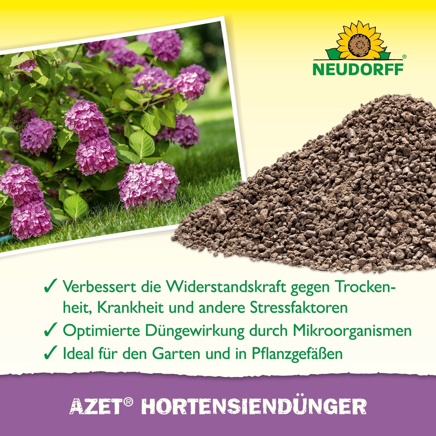 Azet HortensienDünger from the Neudorff Shop is depicted as granular fertilizer next to blooming purple hydrangeas, emphasizing improved resilience and optimal fertilization. The German text indicates it is ideal for gardens and flower balls. The Neudorff logo is at the top.