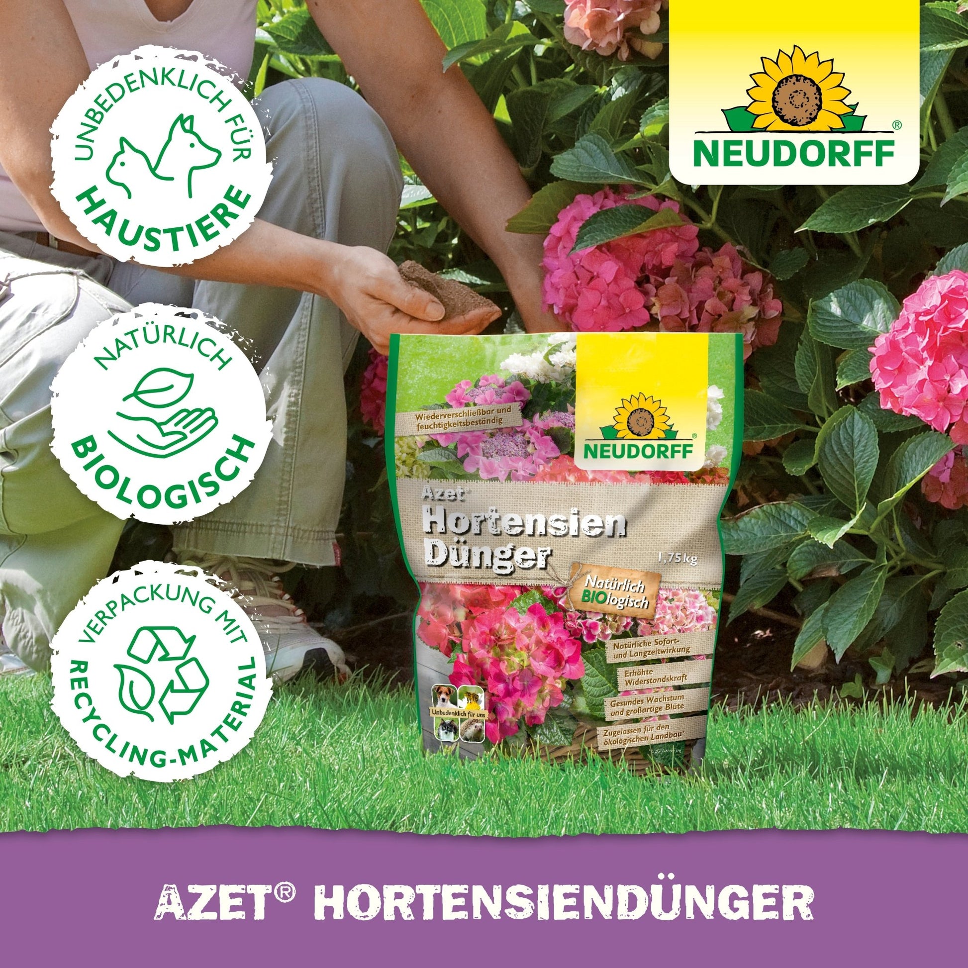 A person kneels in the garden with the Azet HortensienDünger from the Neudorff Shop, preparing to feed their hydrangeas so they bloom magnificently.