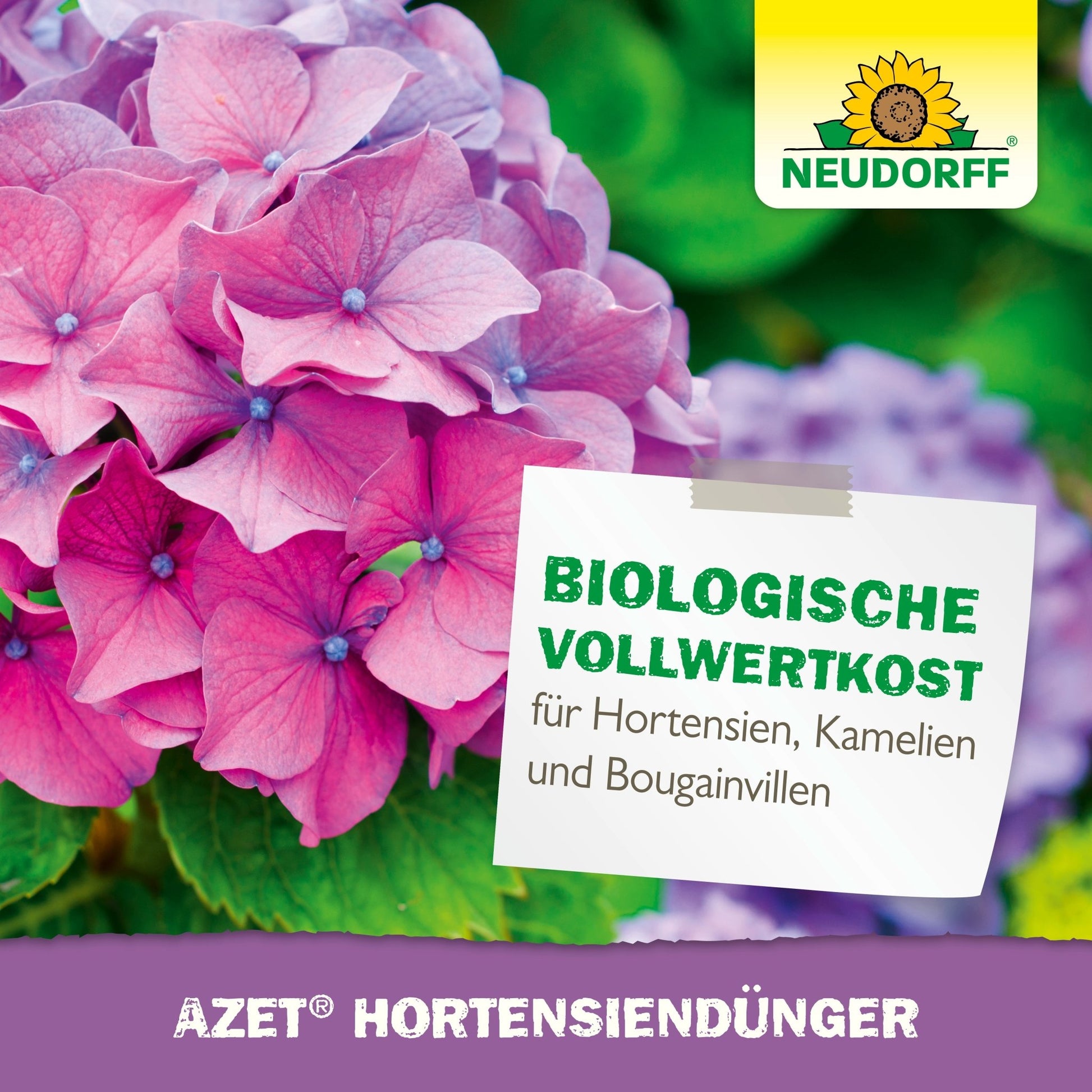 A close-up of pink and purple hydrangea flowers with a label reading "BIOLOGICAL WHOLE FOOD for hydrangeas, camellias, and bougainvilleas," featuring the Neudorff Shop logo and "Azet HortensienDünger" - ideal for the garden.