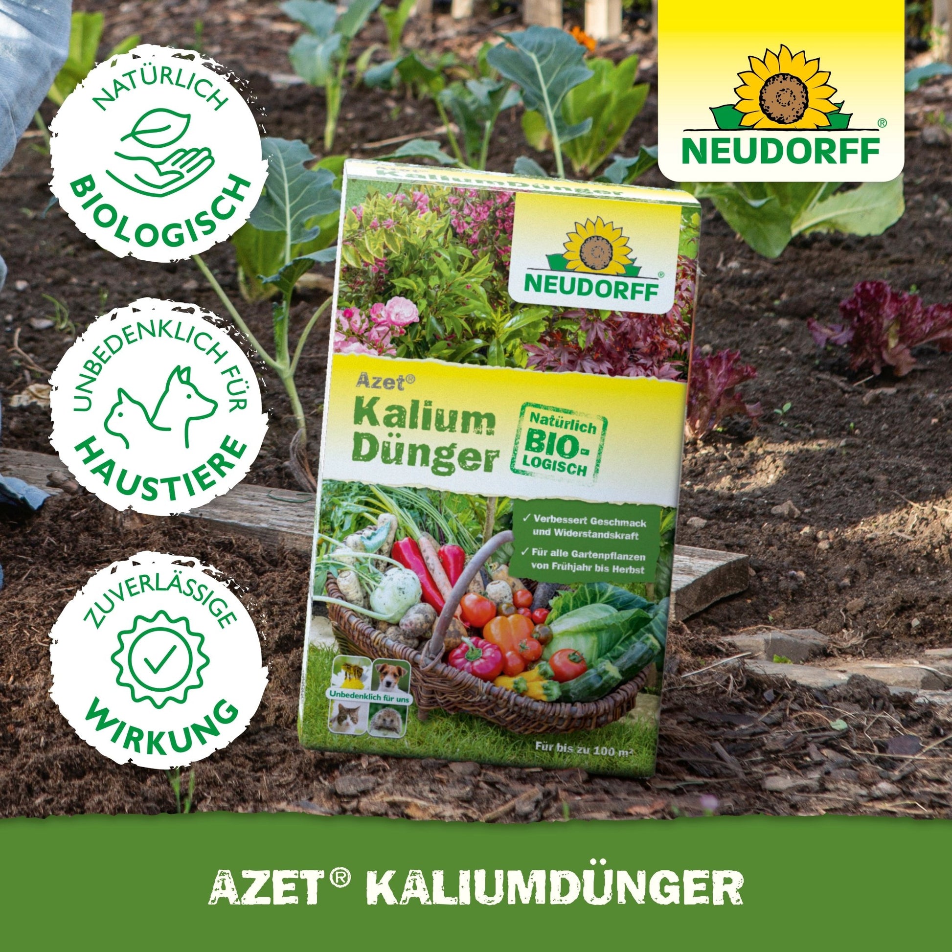 Eine Schachtel Azet KaliumDünger aus dem Neudorff Shop steht auf der Gartenerde zwischen Gemüse und Grünpflanzen und zeigt Produktinfos und Zertifizierungen. Ideal zum Düngen von Pflanzen und zur Vorbeugung von Kaliummangel.