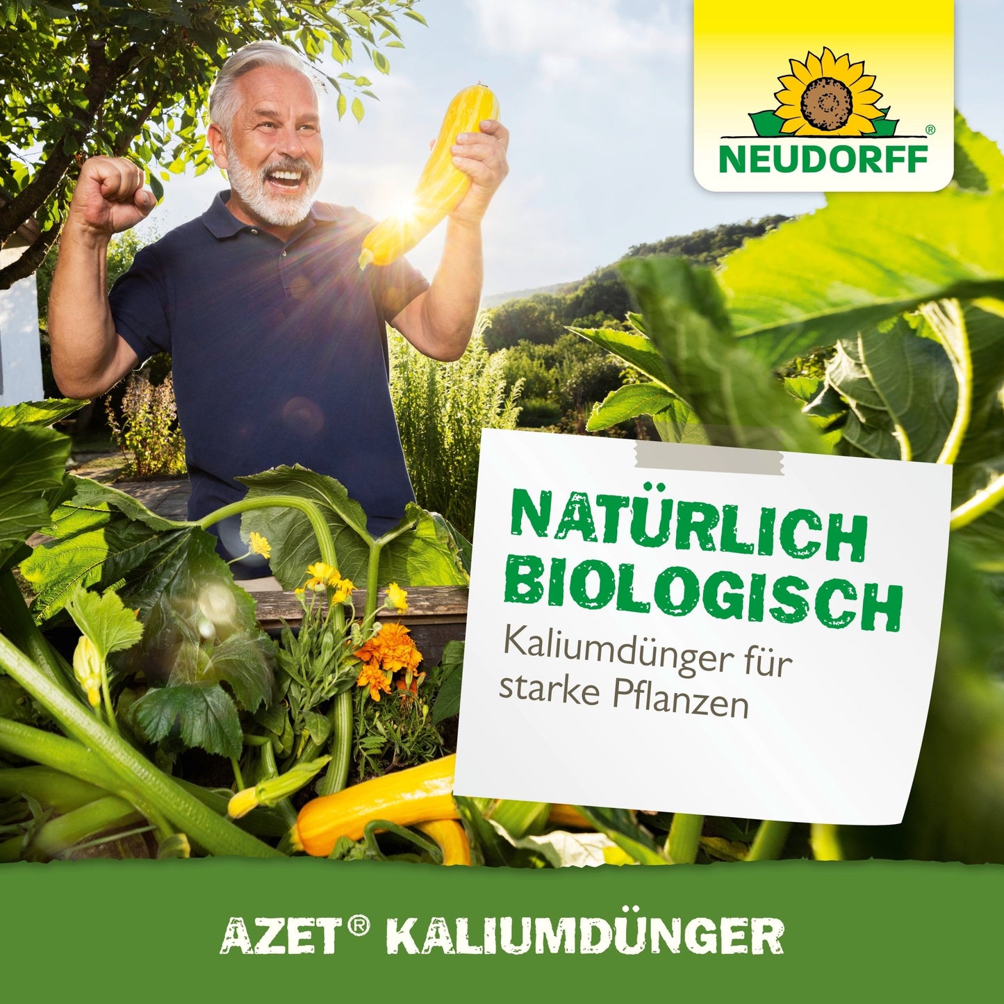 Ein grauhaariger Mann steht in einem Garten, lächelt und hält mit erhobener Faust eine gelbe Zucchini. Auf einem Schild steht "Natürlich biologisch, Azet KaliumDünger für starke Pflanzen düngen." Das Branding von Neudorff Shop ist sichtbar.