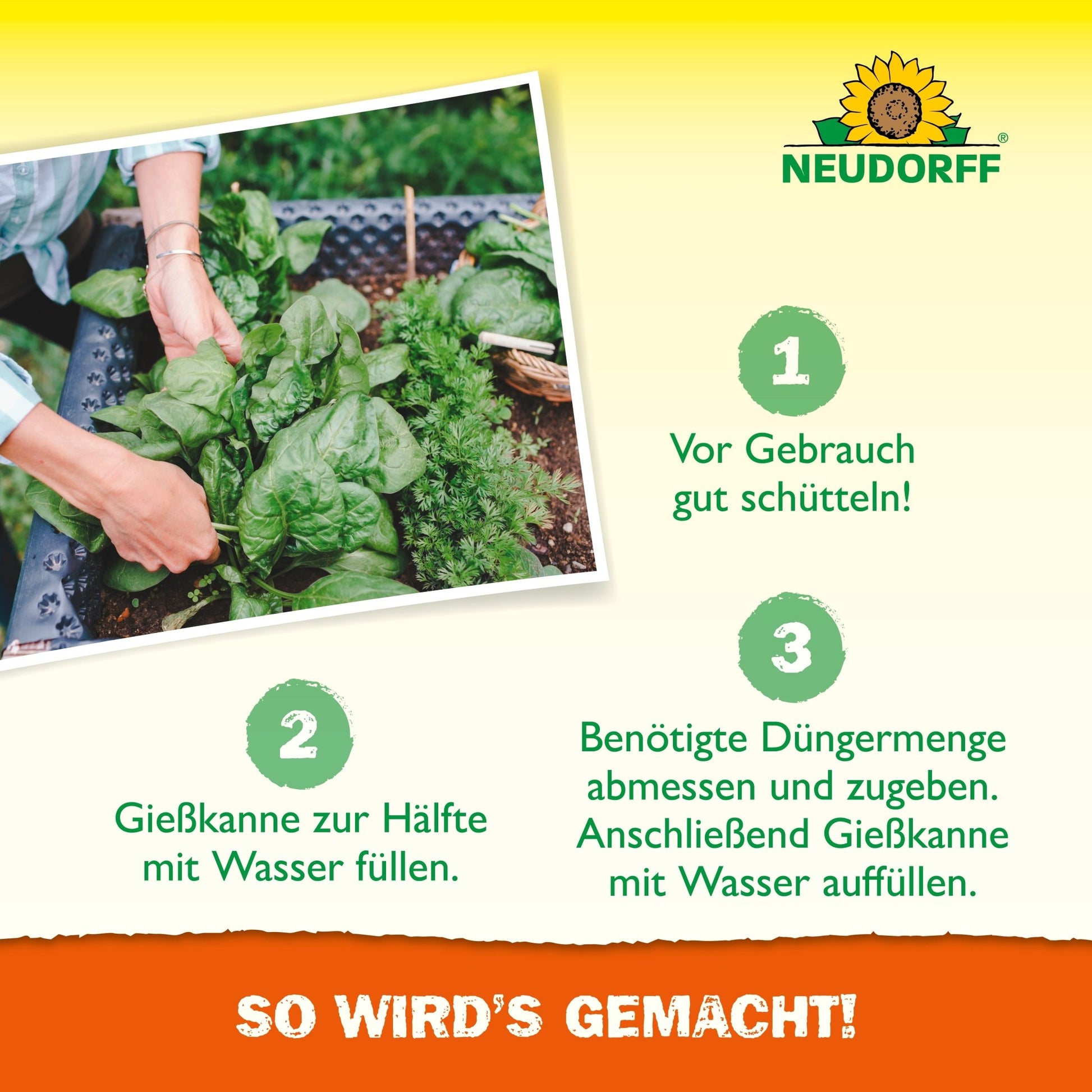 A person applies Azet Raised Bed Fertilizer liquid from the Neudorff Shop to green leafy plants in a raised bed using a watering can. The preparation steps for the nutrient solution and the Neudorff logo are depicted, including German instructions.
