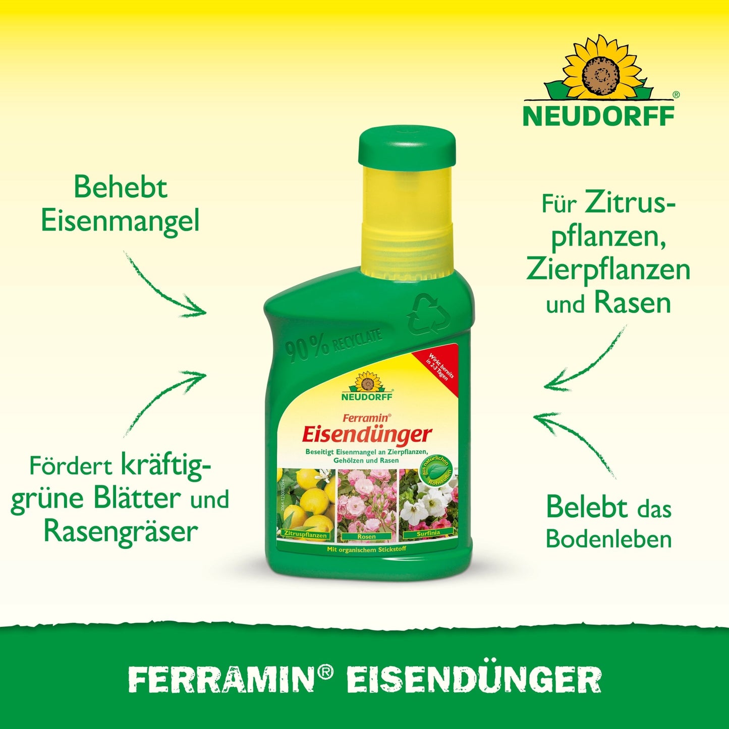 A green bottle of Neudorff Shop Ferramin iron fertilizer stands upright, with text highlighting the benefits: correction of iron and nitrogen deficiency, promotion of lush green lawns and leaves, and revitalization of the soil for various plants.