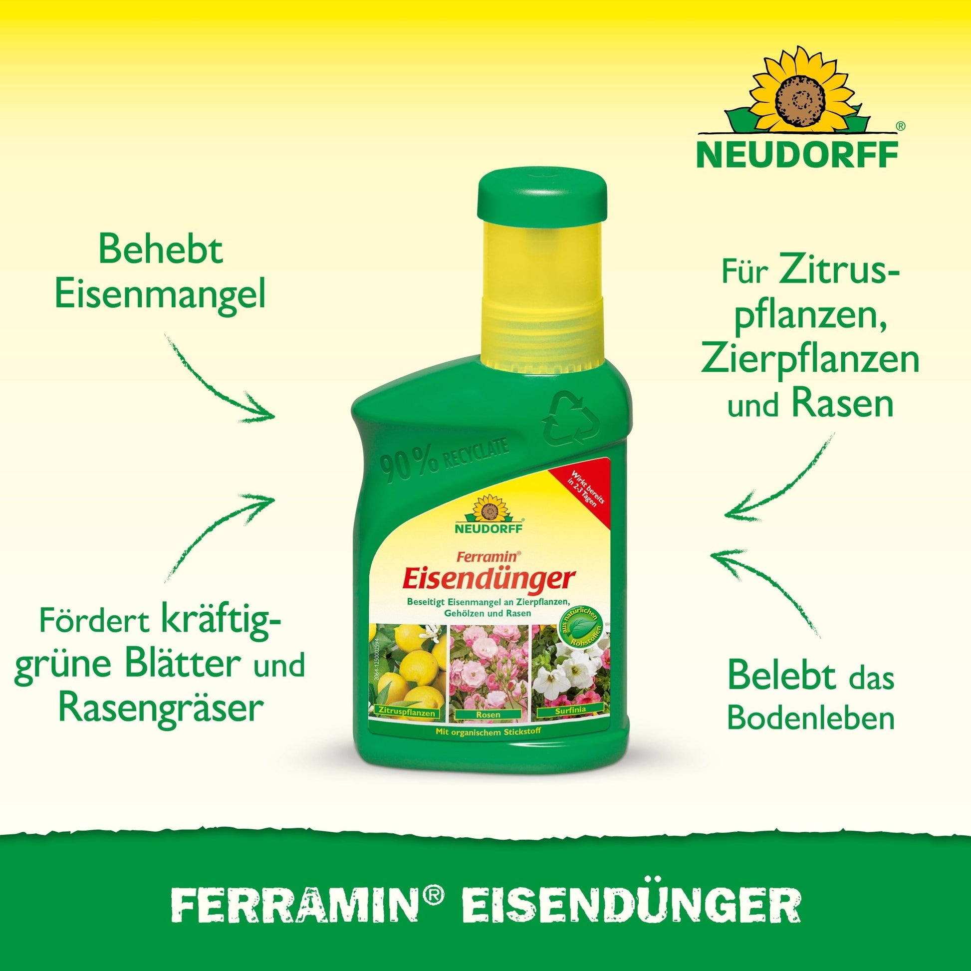 A green bottle of Neudorff Shop Ferramin iron fertilizer stands upright, with text highlighting the benefits: correction of iron and nitrogen deficiency, promotion of lush green lawns and leaves, and revitalization of the soil for various plants.