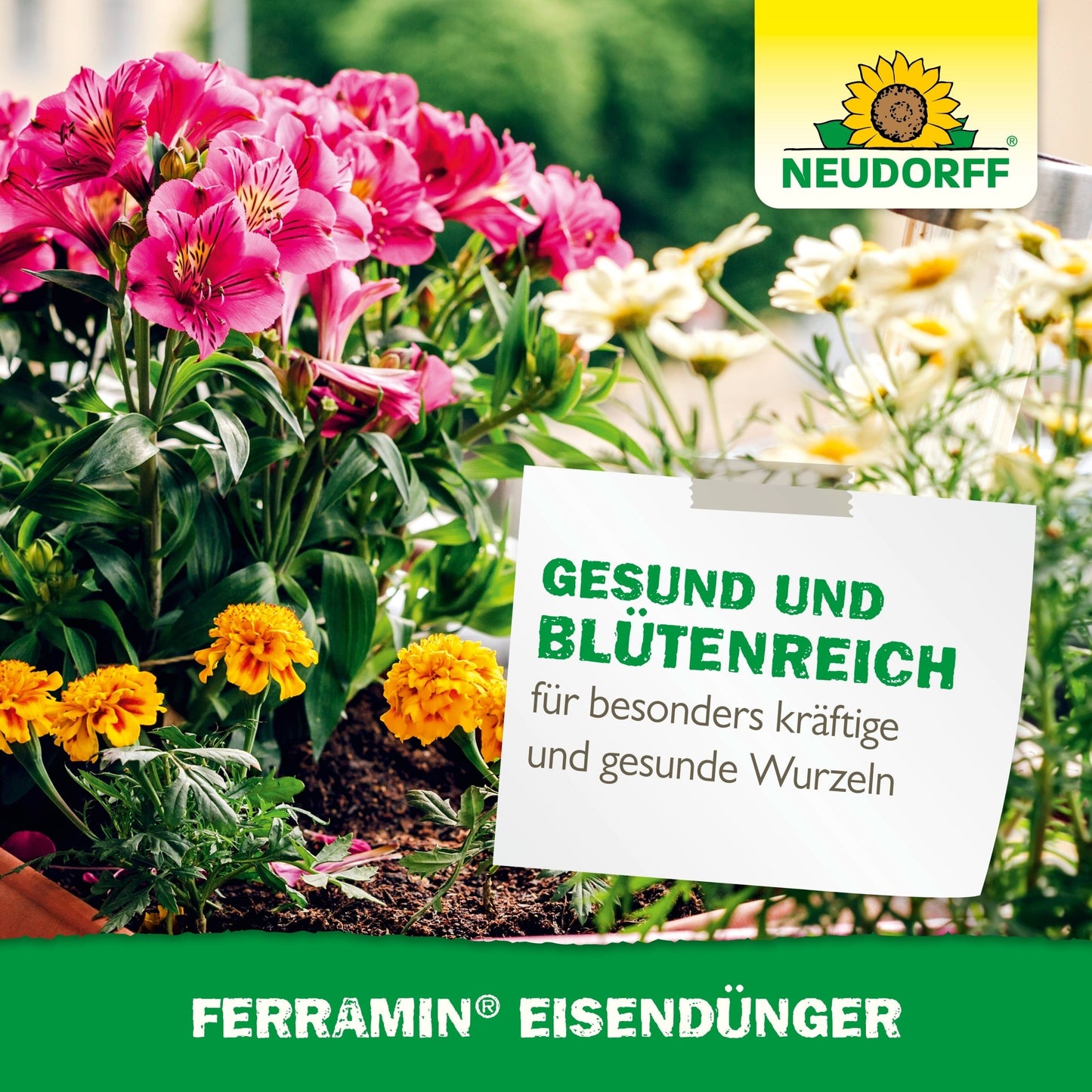 A garden bed with pink and yellow blooms bears a German sign promoting healthy growth and strong roots, with the Ferramin iron fertilizer brand mark from Neudorff Shop, known for combating nitrogen deficiency.