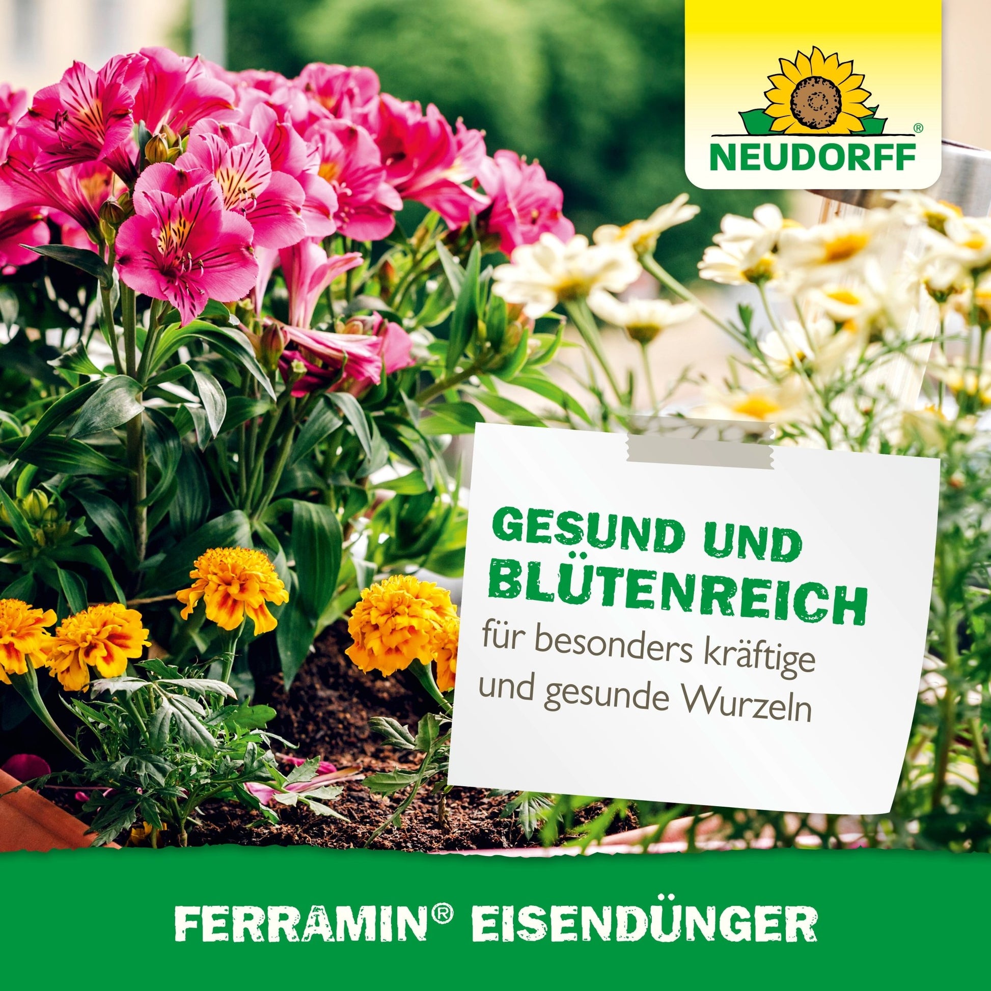 A garden bed with pink and yellow blooms bears a German sign promoting healthy growth and strong roots, with the Ferramin iron fertilizer brand mark from Neudorff Shop, known for combating nitrogen deficiency.