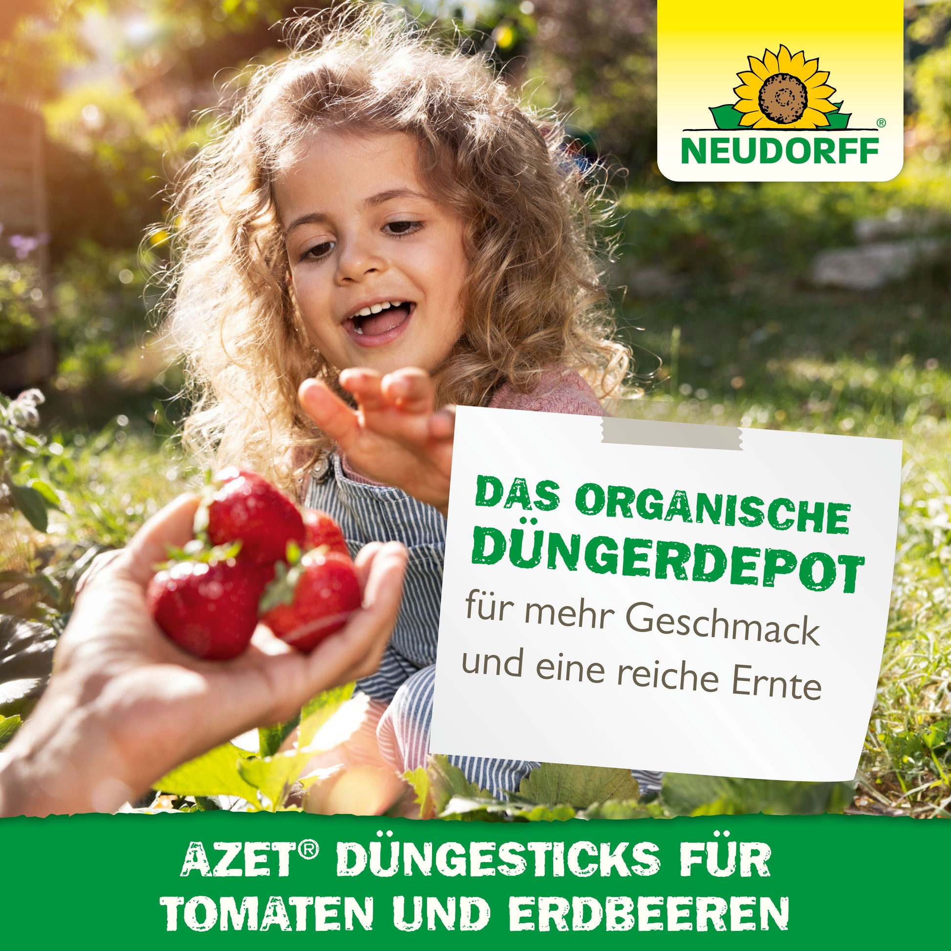 Ein Kind greift im Freien nach Erdbeeren, die ihm gereicht werden, und wirbt für Neudorff Shop Azet Düngesticks für Tomaten & Erdbeeren, wobei der Text den besseren Geschmack und den höheren Ertrag hervorhebt.