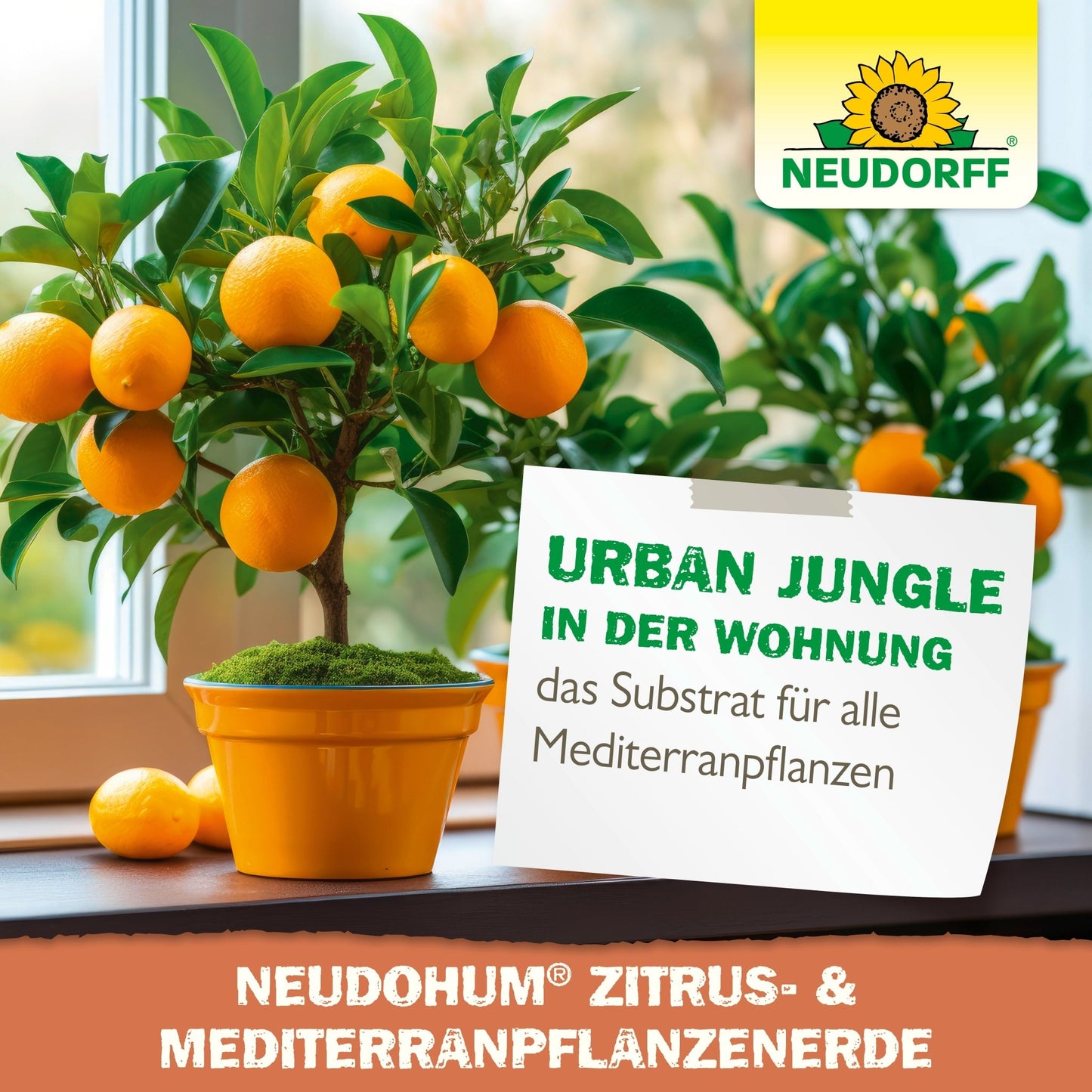 NeudoHum Zitrus- & MediterranpflanzenErde