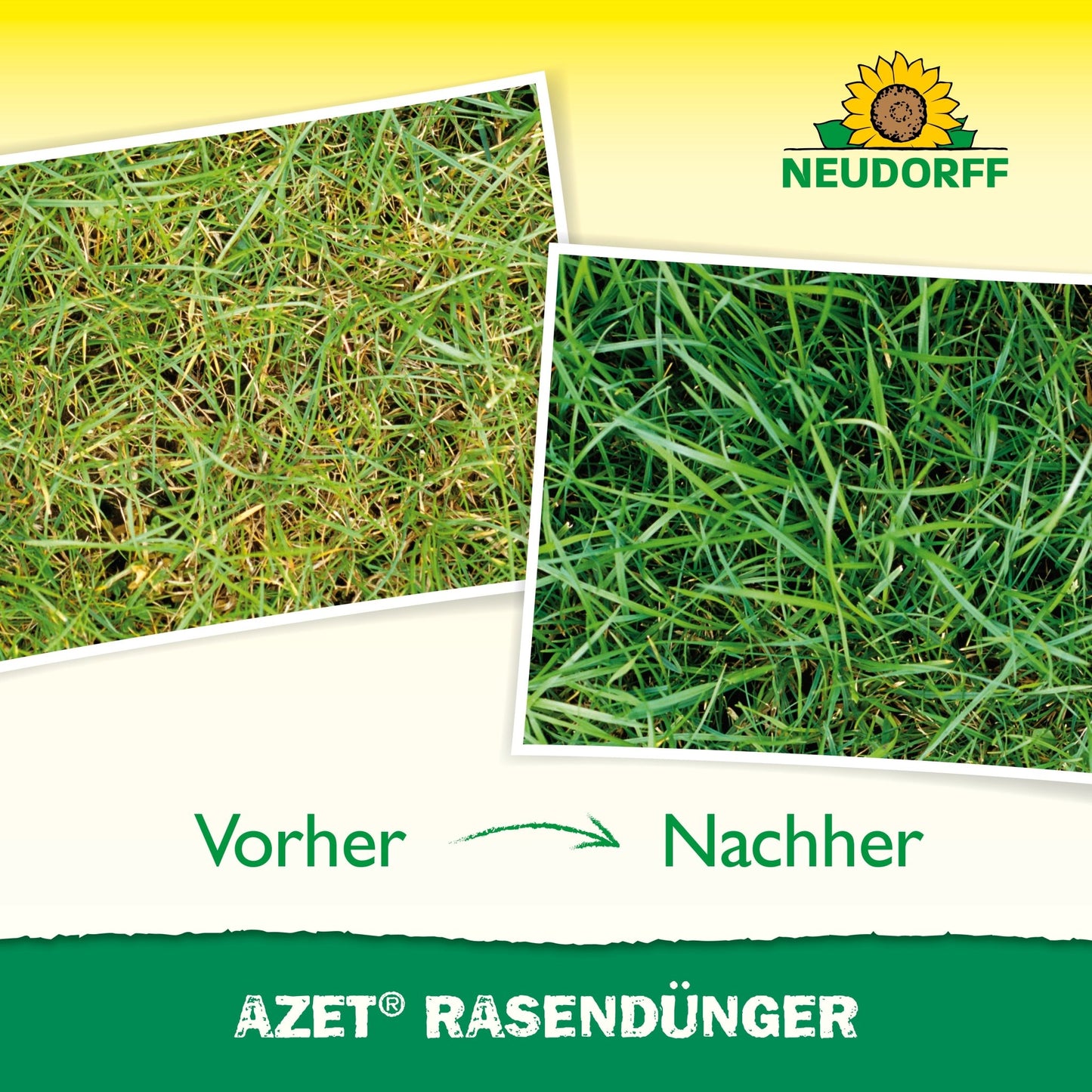 Two side-by-side photos show lawn before and after using Neudorff Shop Azet Lawn Fertilizer 2.5 kg to 5 kg. "Before" shows sparse, yellowed grass with weeds; "After" shows a dense, green lawn. Neudorff logo and product name appear in the image.