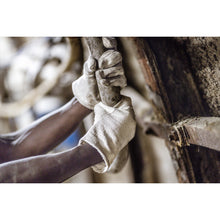 NITRAS cotton jersey gloves, natural cotton jersey | Pack (12 pairs)