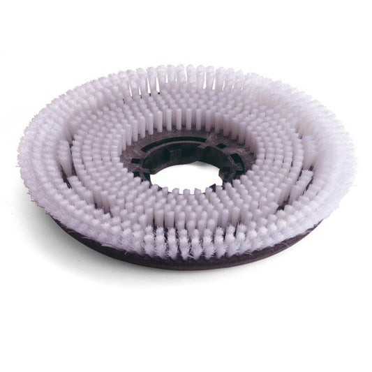 Numatic Octo Nylon Scheuerbürste, 300 mm für TTV678/TVL850 | Packung (1 Stück)