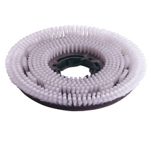 Numatic Nylon-Shampoonierbürste 450 mm | Packung (1 Stück)