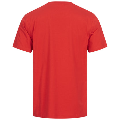 Nitras Motion Tex Light T-Shirt UV protection Oeko-Tex Gr. XS-6XL, different colors | Pack (1 piece)