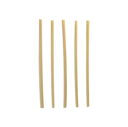Five straight, uncooked bucatini noodles stand upright and evenly spaced on a plain white background, similar to the PAPSTAR GmbH cocktail straws "pure" 4 mm x 15 cm environmentally friendly from the dispenser box (250 pieces) laid side by side.