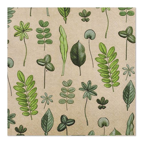 The PAPSTAR GmbH 20 napkins (33 x 33 cm, 3-ply, 1/4-fold, Design Set 6) are beige, square napkins with a hand-drawn green leaf and botanical pattern.