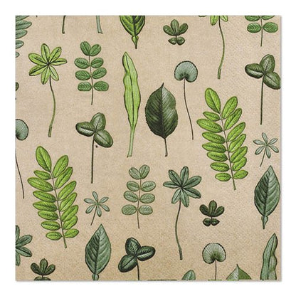The PAPSTAR GmbH 20 napkins (33 x 33 cm, 3-ply, 1/4-fold, Design Set 6) are beige, square napkins with a hand-drawn green leaf and botanical pattern.