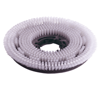 Numatic 2 x Nylon-Scheuerbürste 220 mm (NUC244NX/TTB420) | Packung (1 Stück)