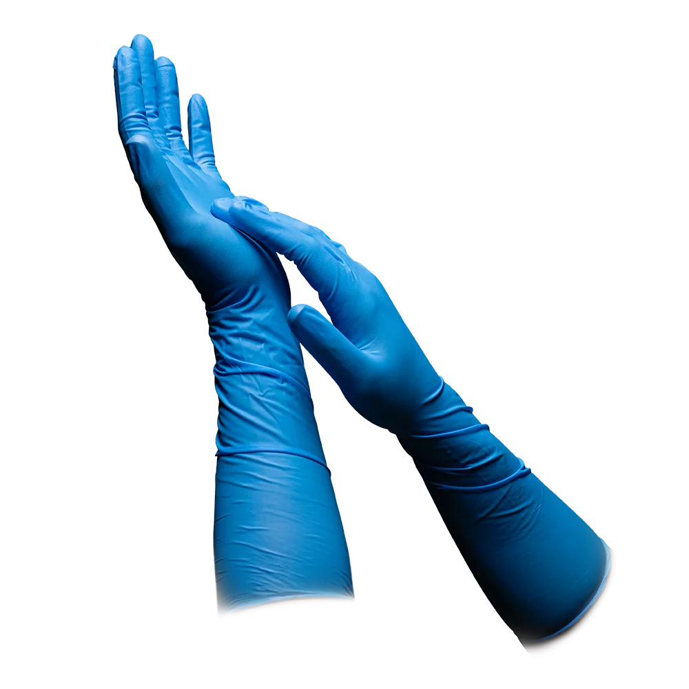 I am wearing two blue gloves from AMPri MED-COMFORT BLUE ULTRA 400 nitrile gloves extra long from AMPri Handelsgesellschaft mbH and pulling the second glove over my wrist and forearm with one hand against a plain white background. These blue examination gloves have a tailored design and extend beyond the wrists to provide additional protection, making them ideal for use in the food industry.