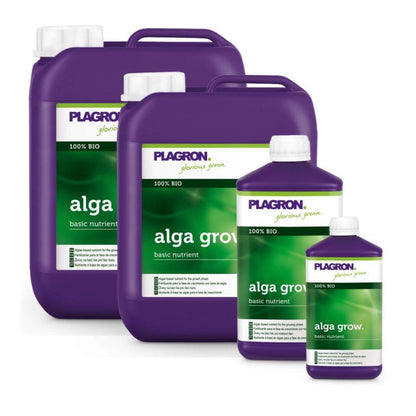 Four containers of Plagron Alga Grow Natural Growth Fertilizer by Bertels B.V. include two large purple jugs and two smaller bottles. Green and white labels show "100% Organic" and emphasize its role as an essential base nutrient for your garden.