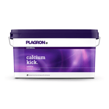 Ein rechteckiger 10 kg-Kunststoffbehälter von Bertels B.V. mit der Aufschrift „Plagron Calcium Kick“ verfügt über einen violetten Deckel und einen Farbverlaufsgriff; dieser mineralische Bodenverbesserer verbessert die Bodenstruktur und wirkt als pH-Regler.