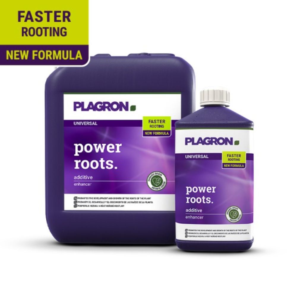 Image of two Plagron Power Roots containers from Bertels B.V.: a large square and a smaller bottle, both purple. The labels emphasize "faster root development" with a "new formula" featuring humic acids in bright yellow and purple.