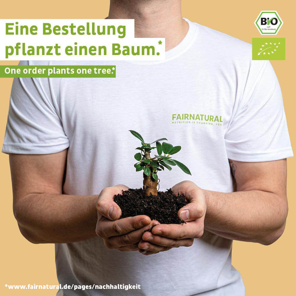 Organic vegan protein powder banana without soy