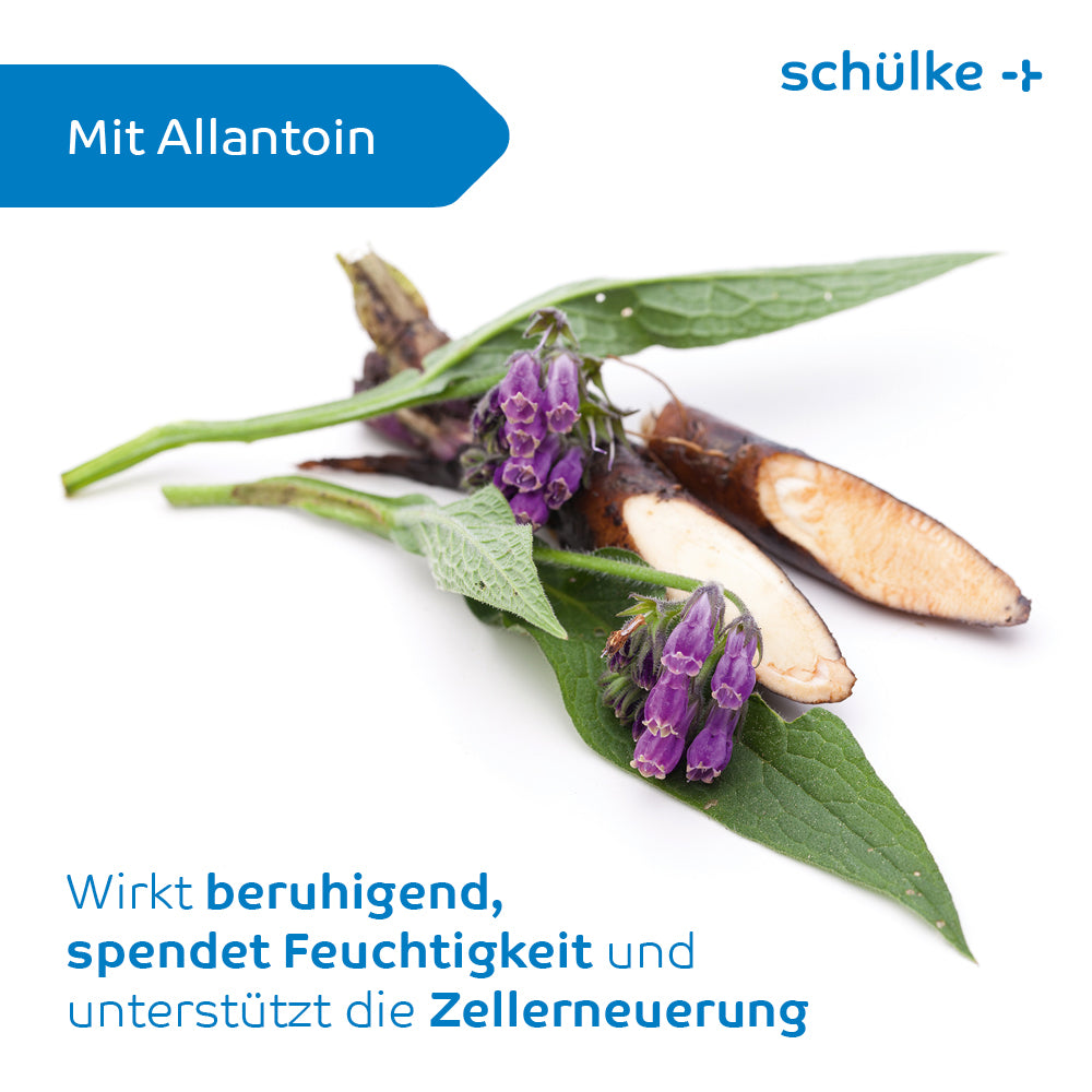 Auf weißem Hintergrund ist ein Pflanzensegment mit violetten Blüten abgebildet. Der deutsche Text daneben beschreibt seine beruhigende Wirkung, seine feuchtigkeitsspendenden Eigenschaften und seine Unterstützung der Zellerneuerung. Das Produkt, Schülke Sensiva® Waschlotion von Schülke & Mayr GmbH, enthält Allantoin, ist hautfreundlich und farbstoff- und parfümfrei.